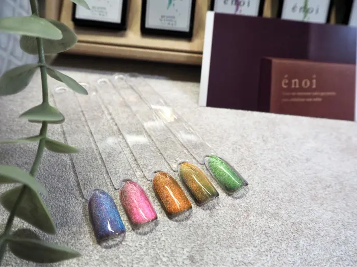 2022新生活 enoi マグネットネイル 全色セット | starmedhemostatiques.com