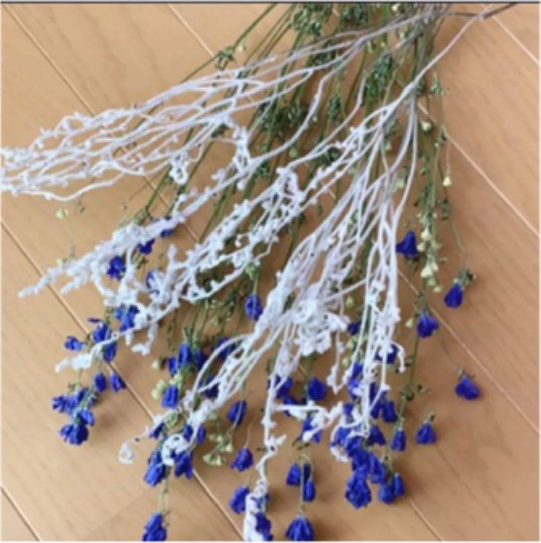 32%割引ブラウン系【SALE/55%OFF】 ドライフラワー デルフィニウムと 買い人気商品 デルフィニウム❣️ ドライフラワー フラワー/ガーデン