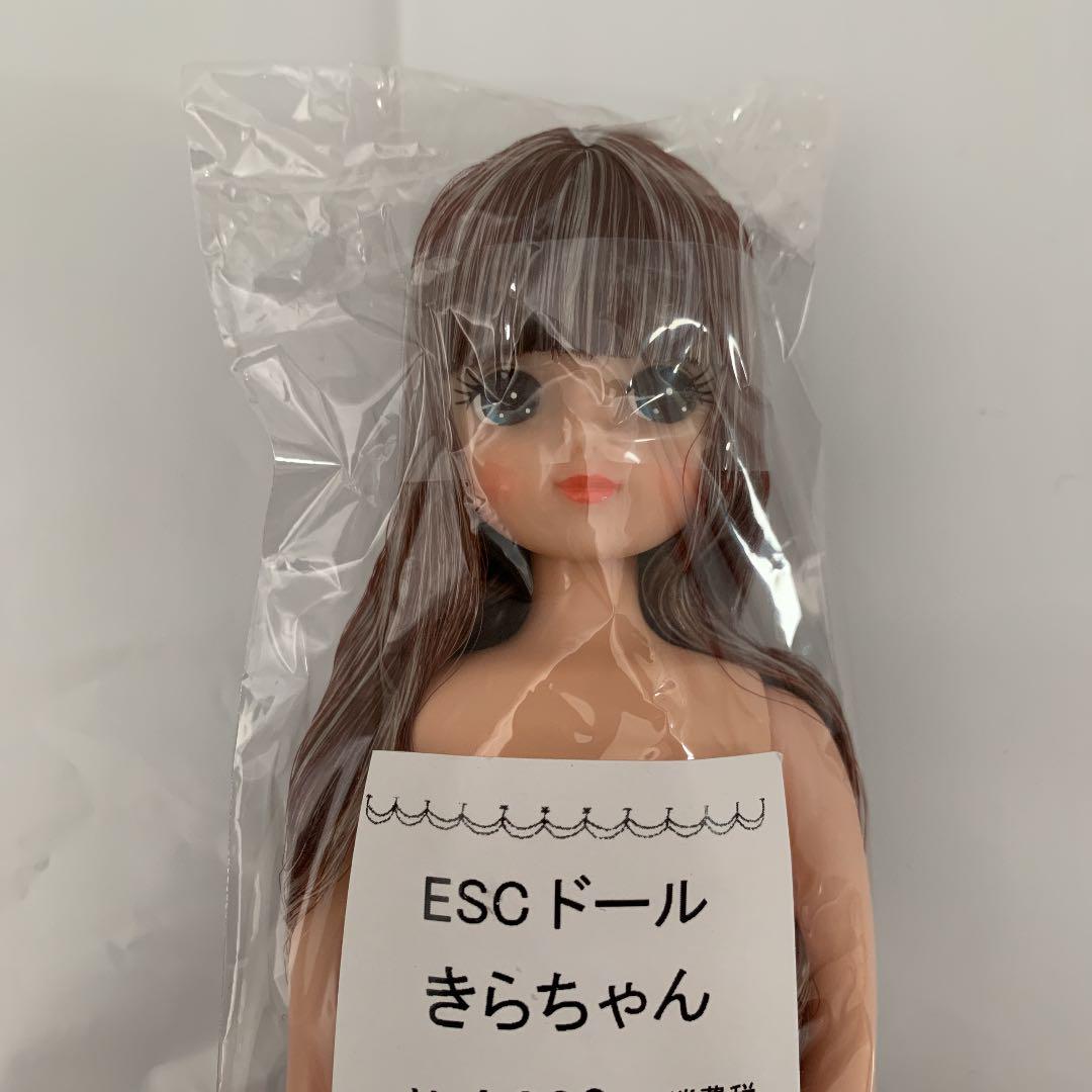 14388円 誠実 ob11ドールフルセットみかんちゃん オビツ11 粘土人形オリジナル