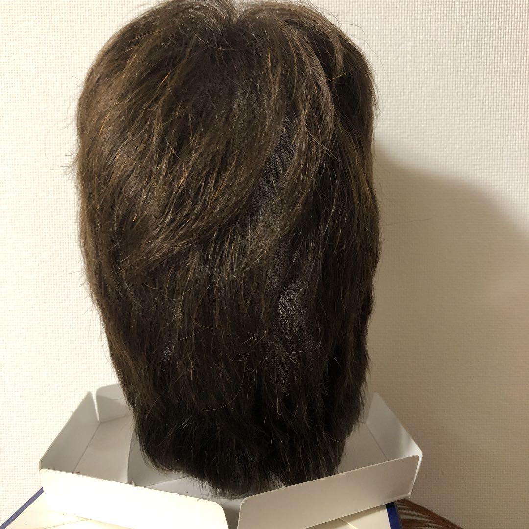 未使用 FONTAINE フォンテーヌ ウィッグ デラックス11DE11 F35-