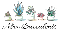 About Succulents