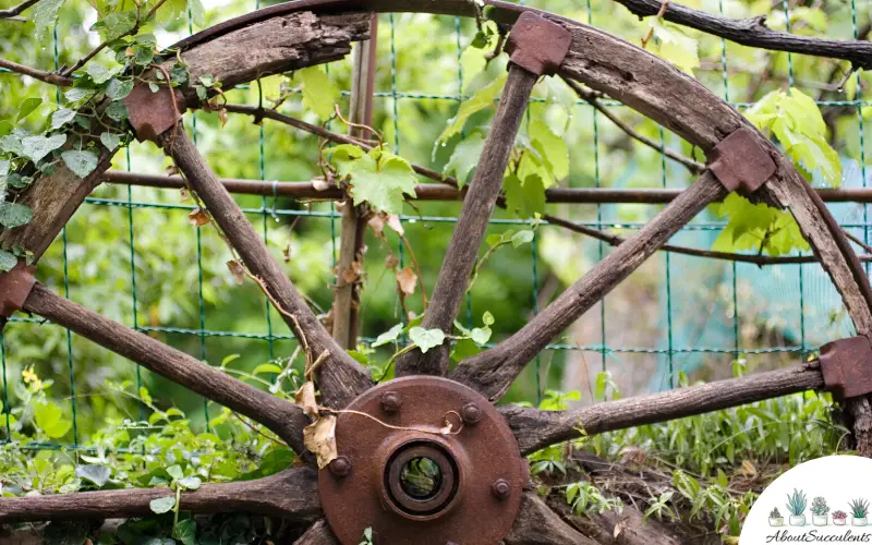 Remettre à neuf de vieux meubles dans un jardin