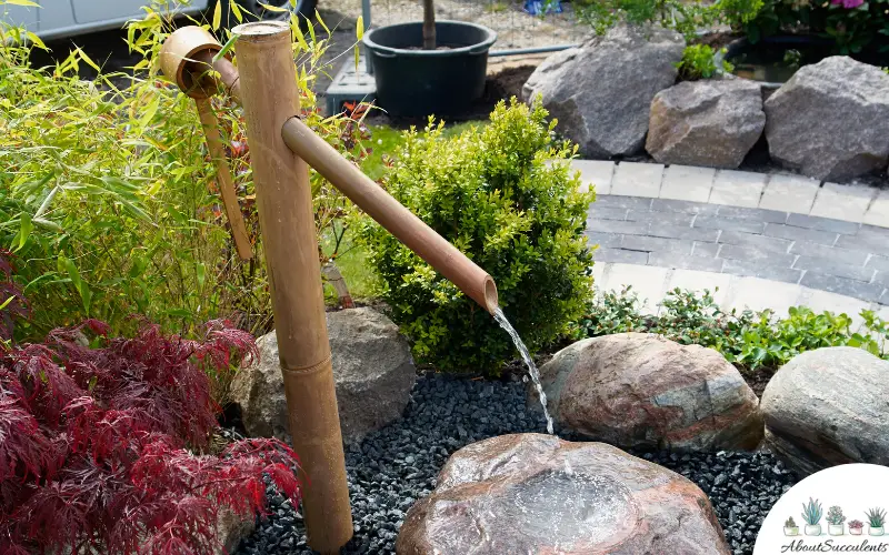 landscaping idea with cheap water feature