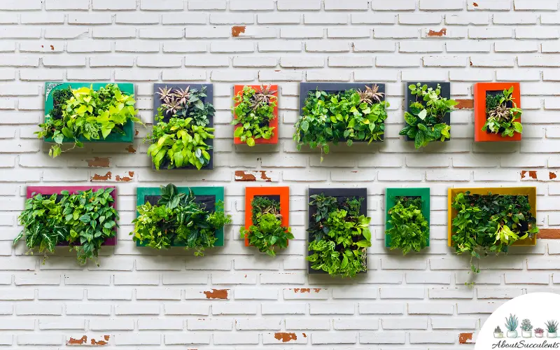 vertical garden landscaping idea