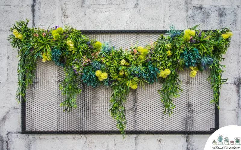 vertical gardening